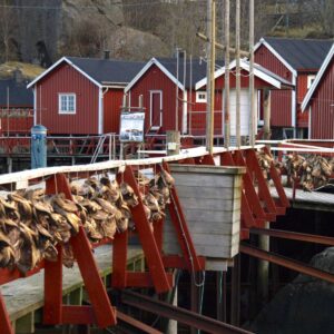rorbuer, vissershuisjes in het Nussfjord