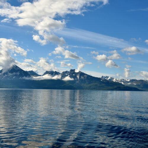 Vikingen, Vesterålen en de Vestfjorden